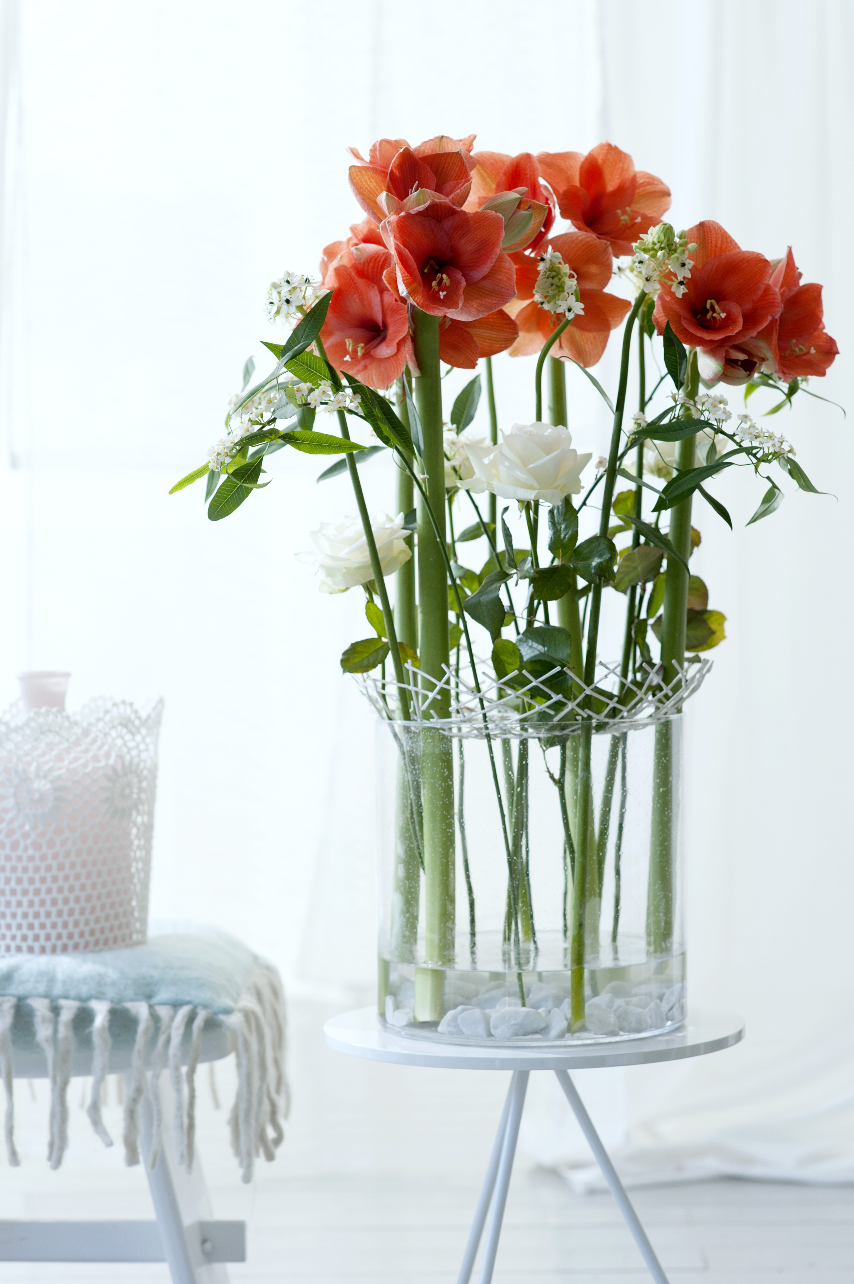 Adorn your home with Amaryllis Funny how flowers do that