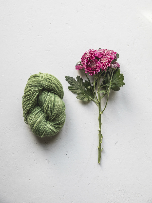 dye wool with buttercup plant
