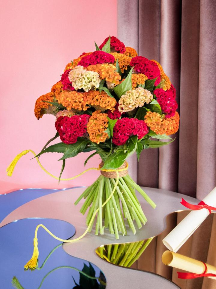 celosia boeket | celosia rood oranje geel