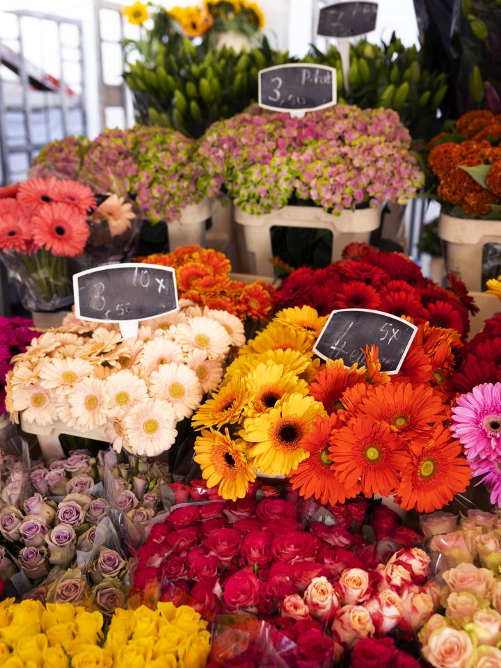 beterschap cadeau bloemen | gerbera | roos