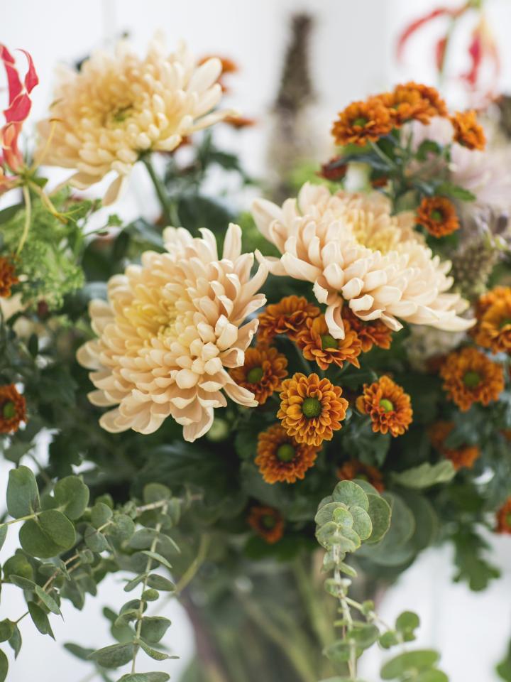 chrysant aster boeket niet hooikoortsproof | bloemen met pollen