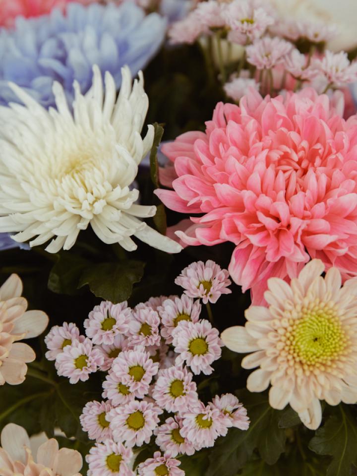 CHRYSANTHEMUM BOUQUET