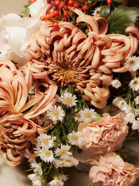 herfstbloemen | chrysant | aster | rozenbottel | roos